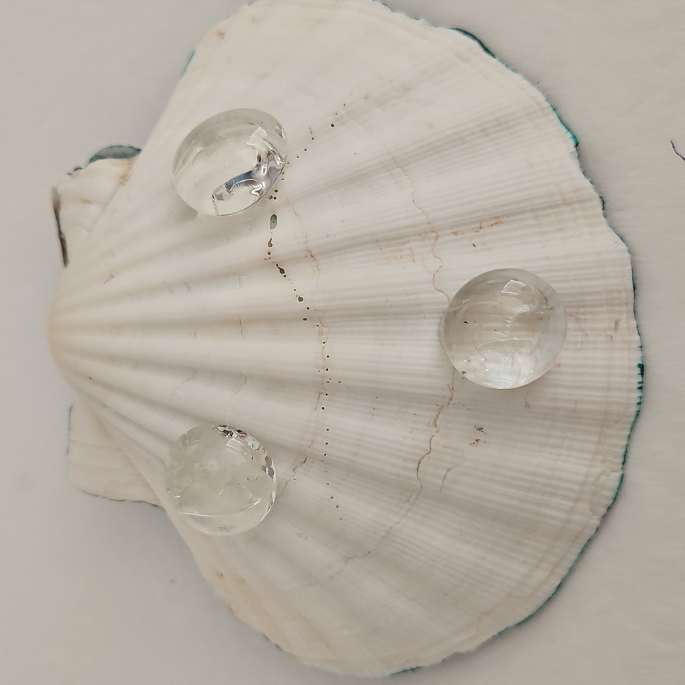 Shell Handcrafted for your Trinkets - Picture 5 of 5